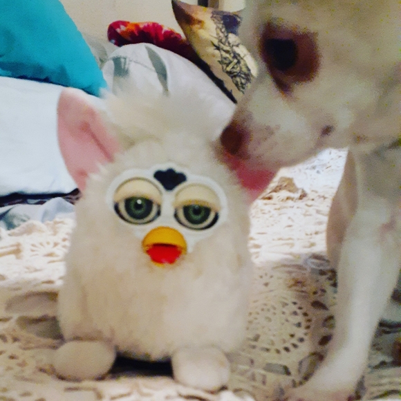 Meet your Posher, Lisa - Picture 9 of 15